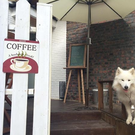 White Island Bed & Breakfast Hostel Busan Exterior photo